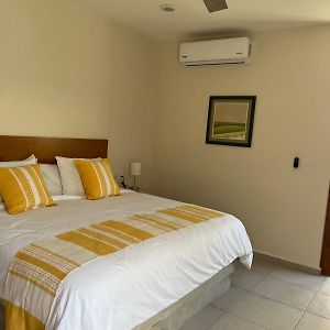 Deluxe One-Bedroom Apartment